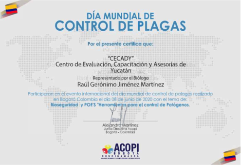 Reconocimiento 3