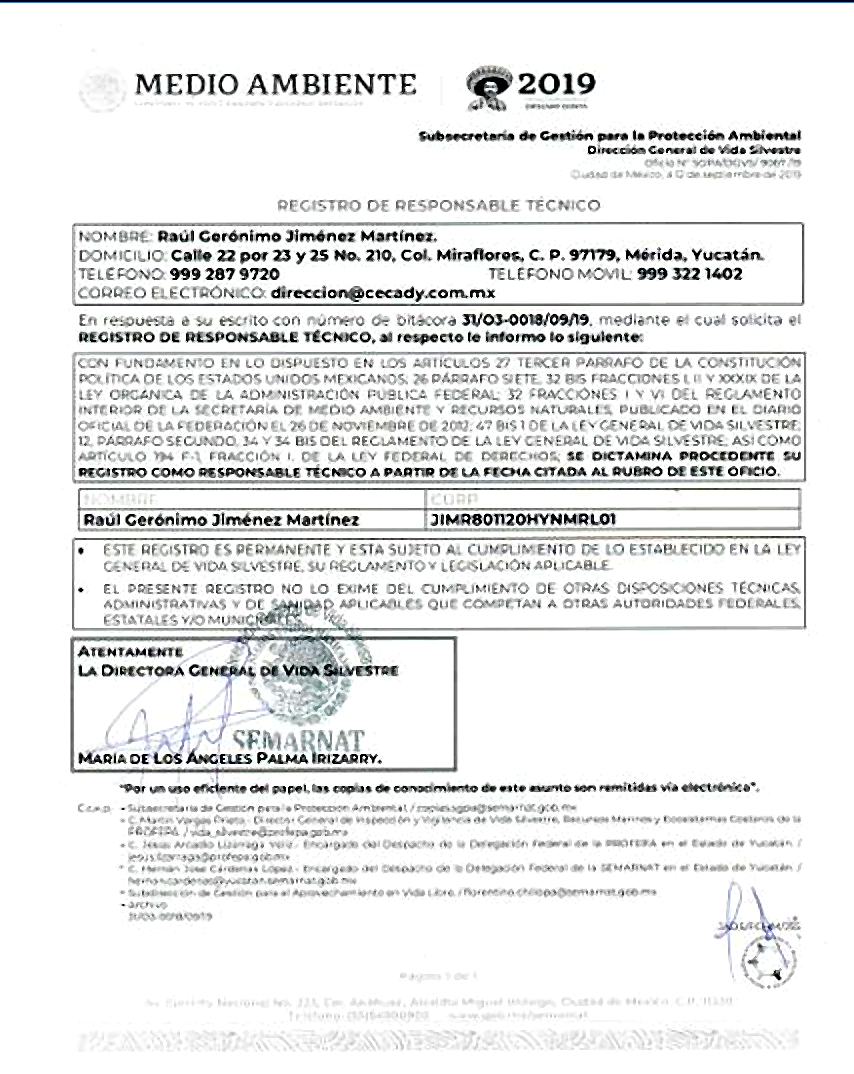 Reconocimiento 6